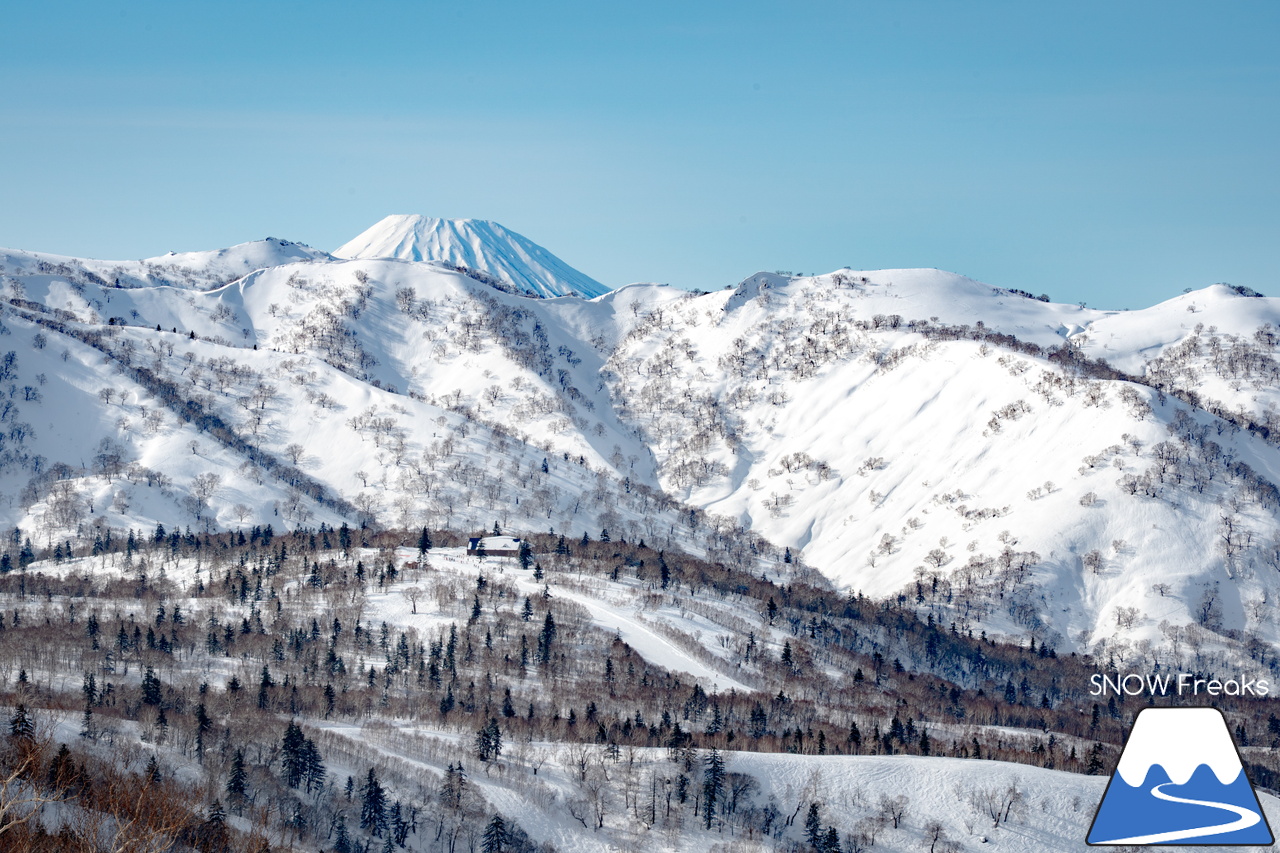 キロロリゾート｜今日の山頂積雪は「340cm」！ビシッと締まったロングコースで快適クルージングが楽しい１日♪